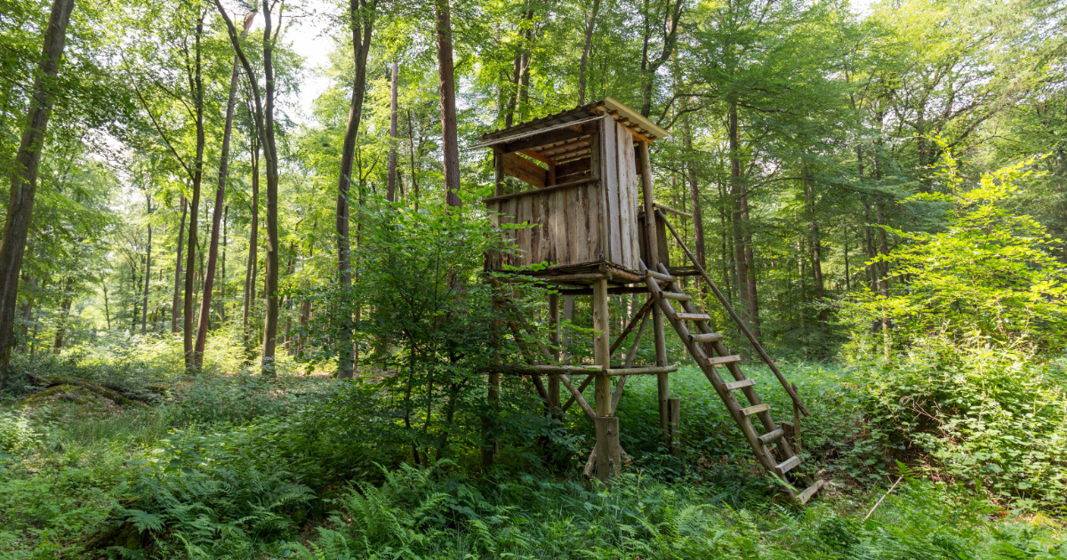 Impression Topmeldung