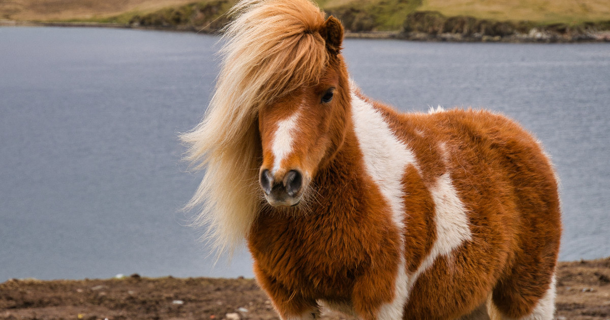 Impression Topmeldung